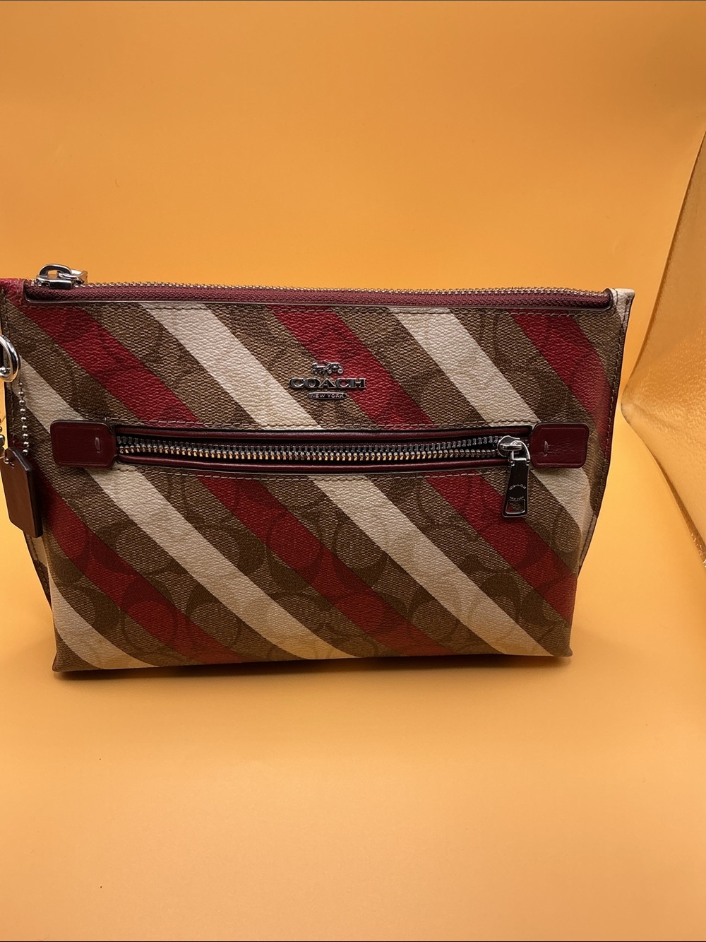Striped Canvas women Pouch - Brown & Red